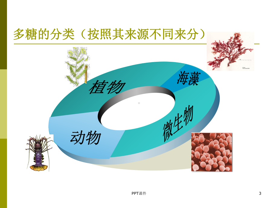 糖类药物-ppt课件.ppt_第3页