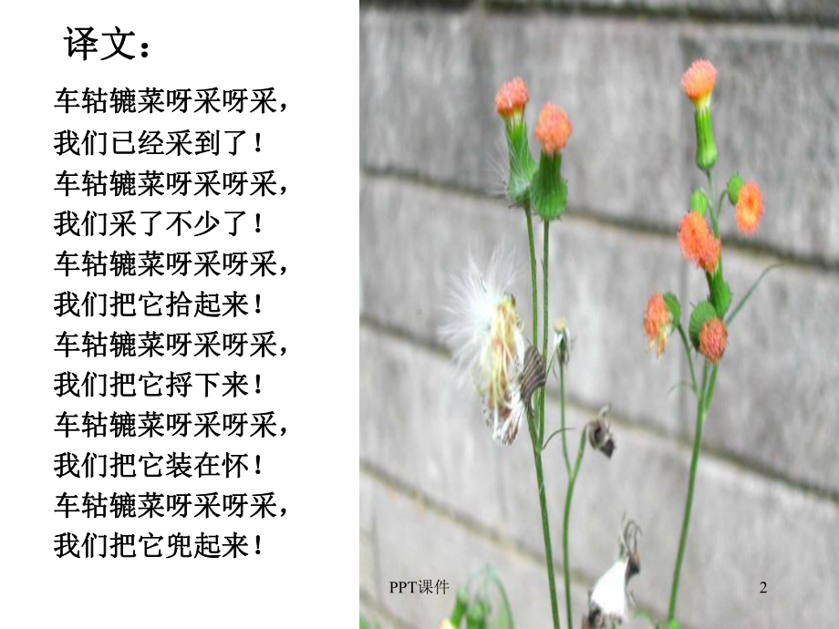 采采芣苡薄言采之-芣苢-ppt课件.ppt_第2页