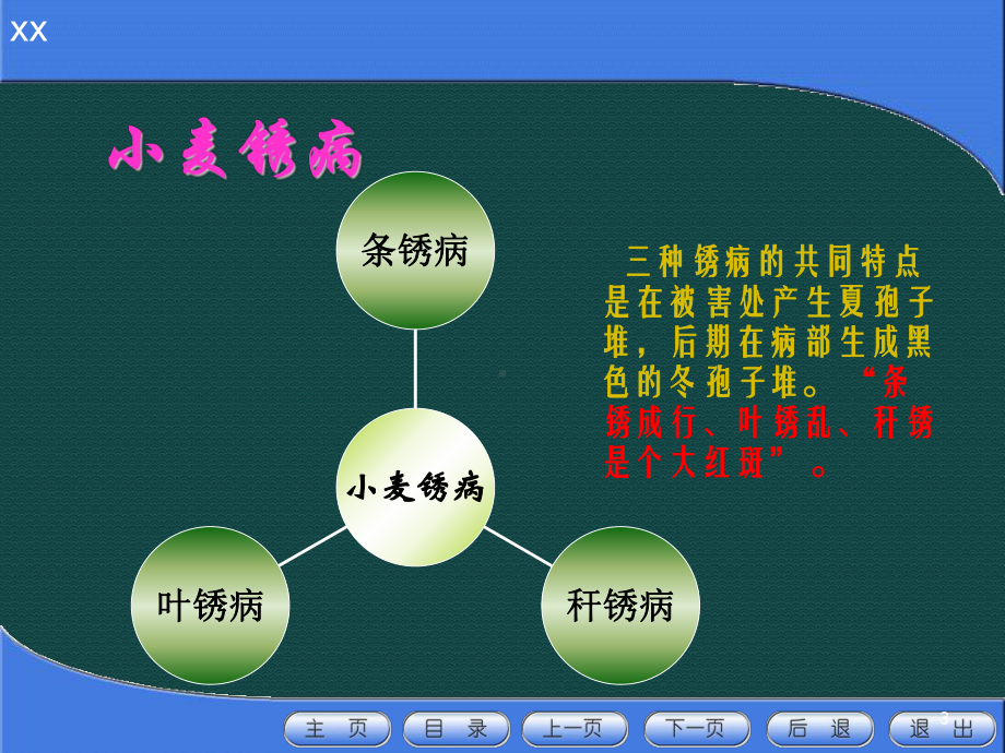 小麦病害ppt课件.ppt_第3页