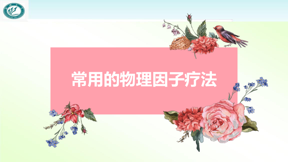 常用的物理因子疗法-ppt课件.ppt_第1页