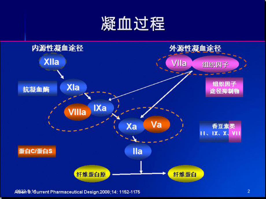 抗凝药PPT课件.ppt_第2页