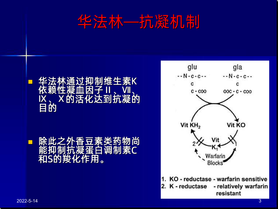 抗凝药PPT课件.ppt_第3页