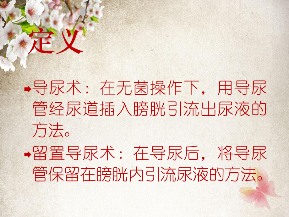 女病人导尿术-ppt课件.ppt_第2页