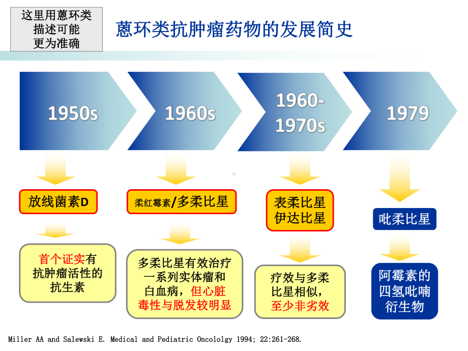 吡柔比星PPT课件.ppt_第3页