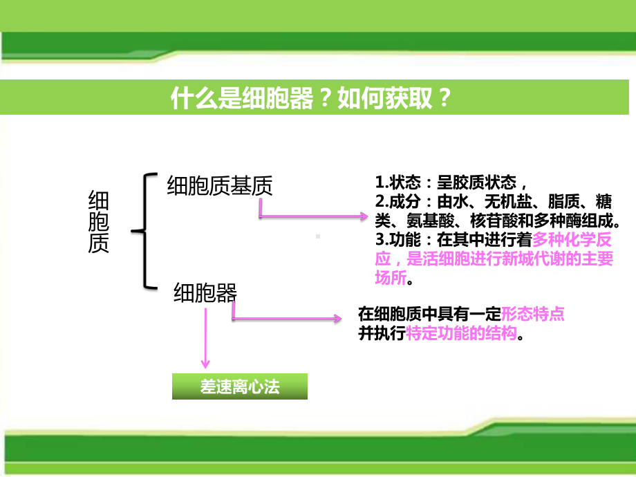 细胞器系统的分工合作-ppt课件.ppt_第3页