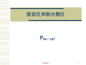 股前区和股内侧区的局部解剖-ppt课件.ppt