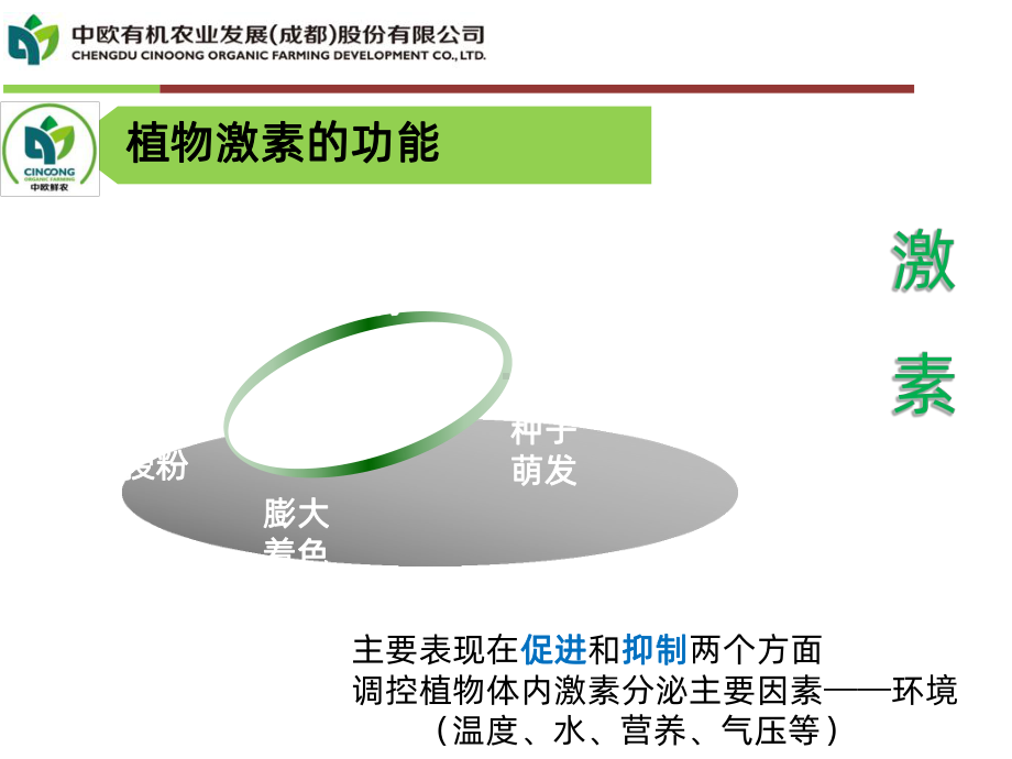 芸苔素内酯PPT课件.ppt_第3页