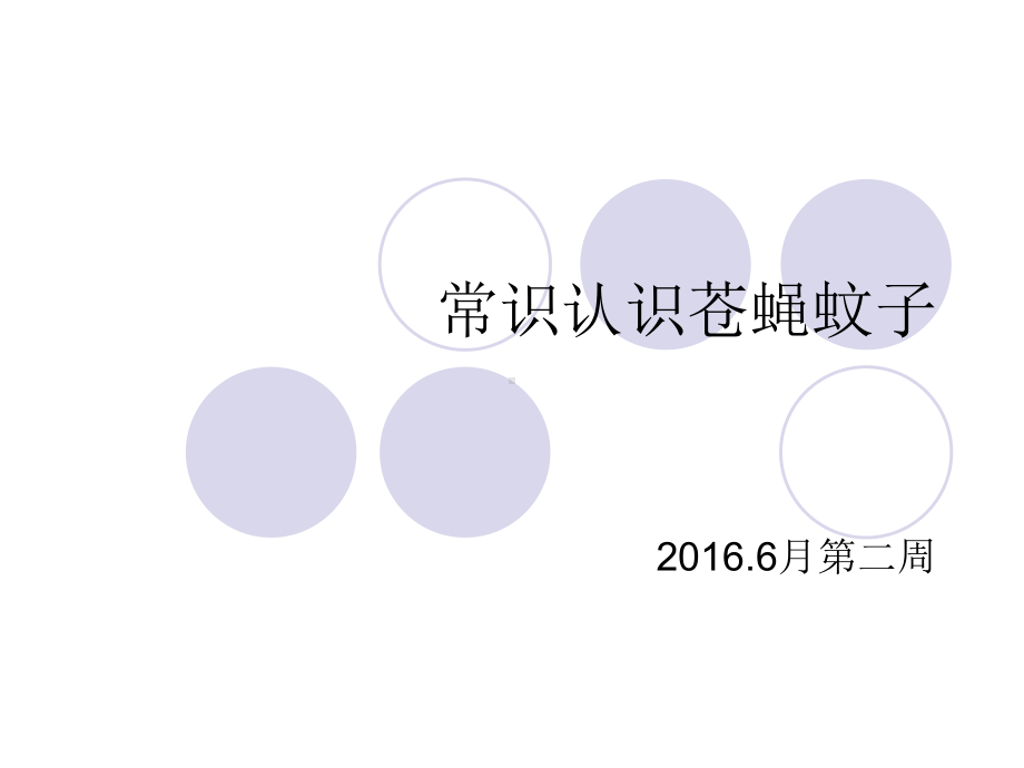 常识认识苍蝇蚊子-ppt课件.ppt_第1页