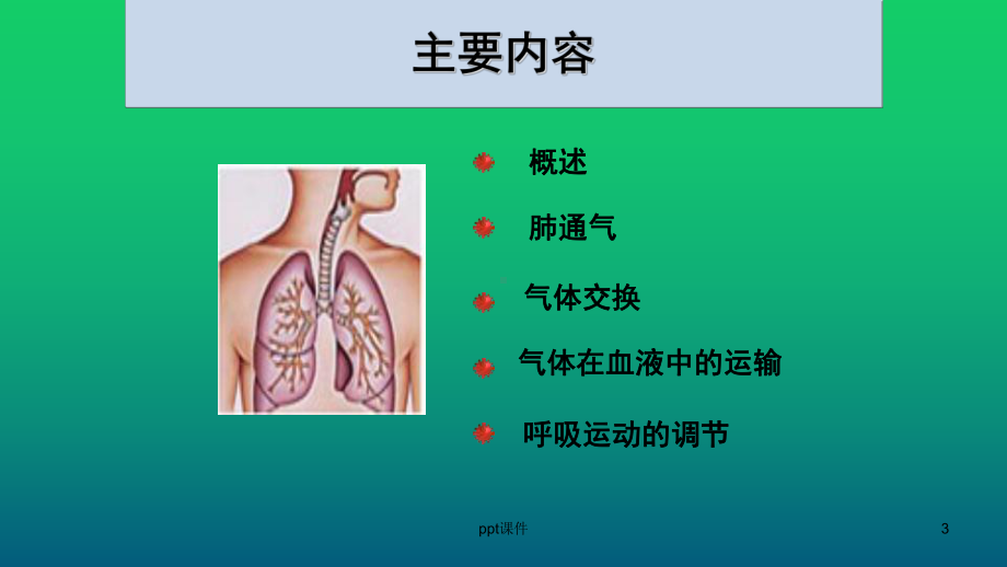 肺的生理功能-ppt课件.pptx_第3页