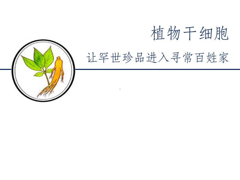 植物干细胞招商用ppt课件.ppt_第1页