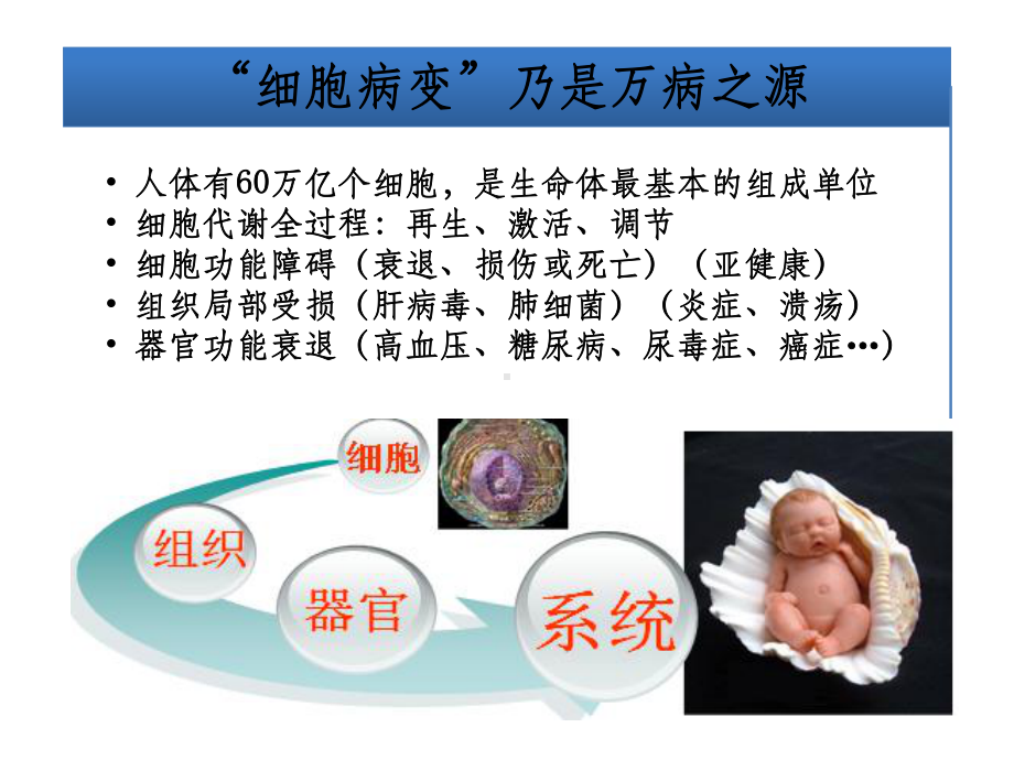 植物干细胞招商用ppt课件.ppt_第3页