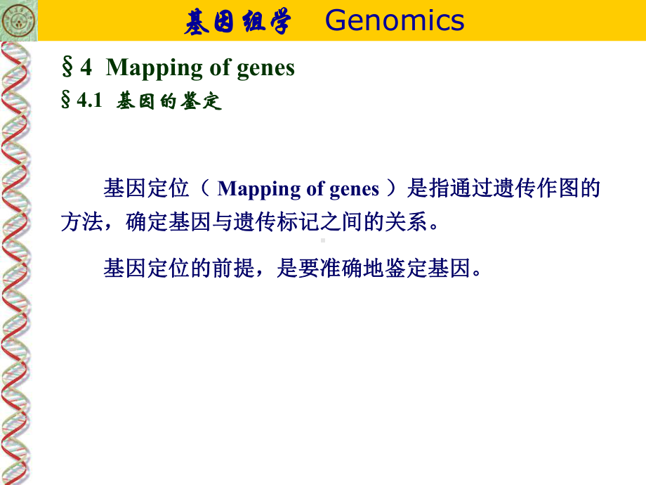 基因定位PPT课件.ppt_第3页