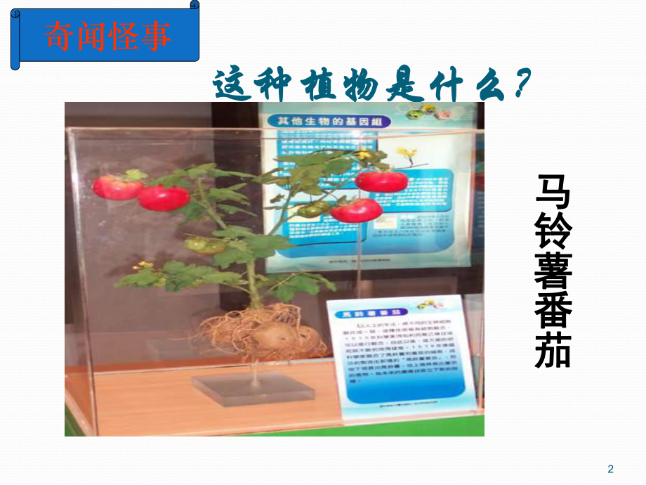 植物的无性生殖ppt课件.ppt_第2页