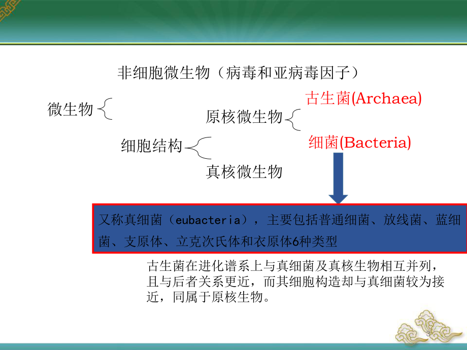 微生物课件-原核PPT课件.pptx_第3页