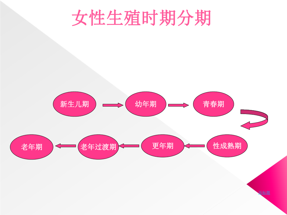 女性生殖健康讲座PPT课件.ppt_第2页