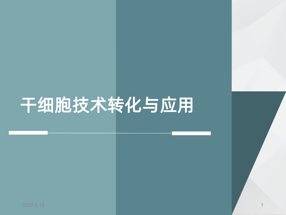 干细胞应用PPT课件.ppt_第1页