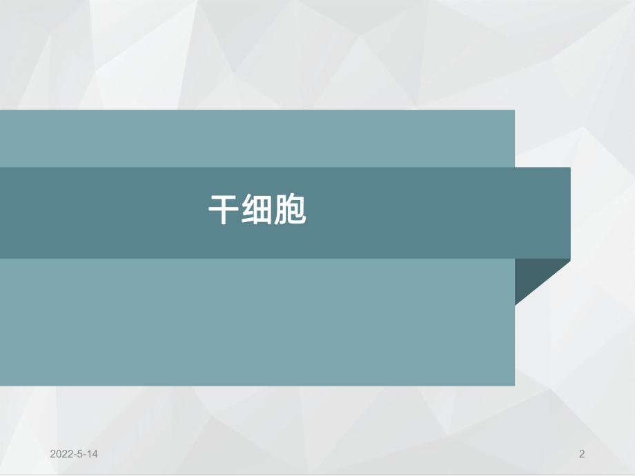 干细胞应用PPT课件.ppt_第2页