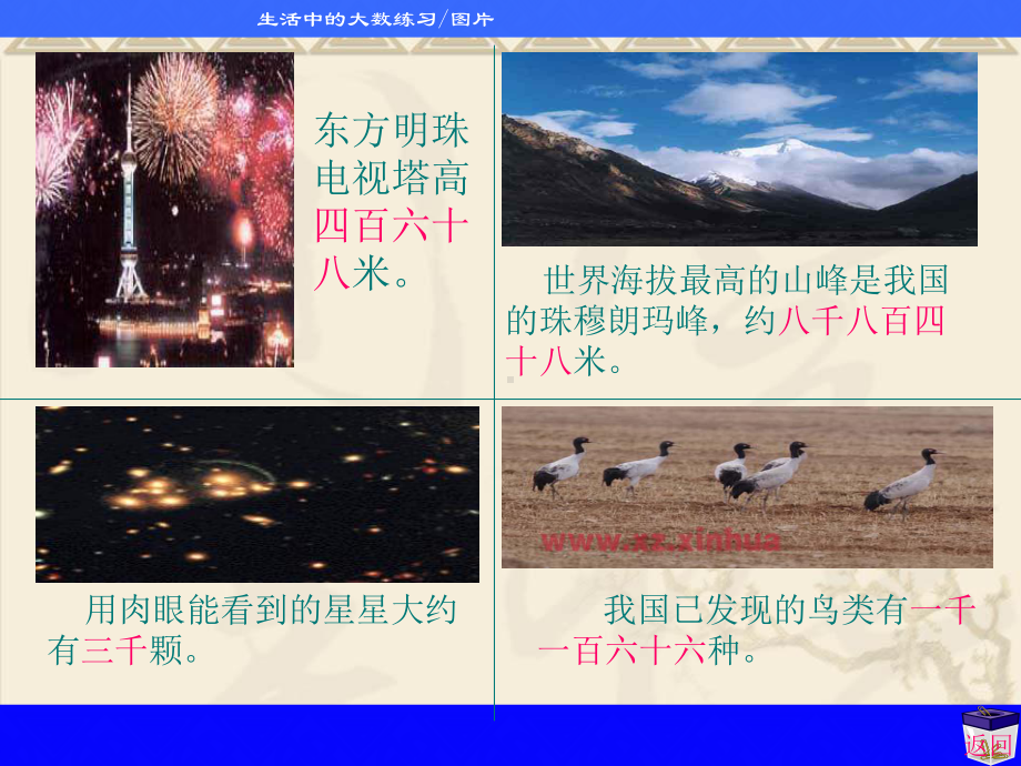 生活中的大数数一数PPT课件.ppt_第2页