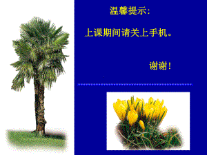 肌学课件(上、下肢肌)(1).ppt