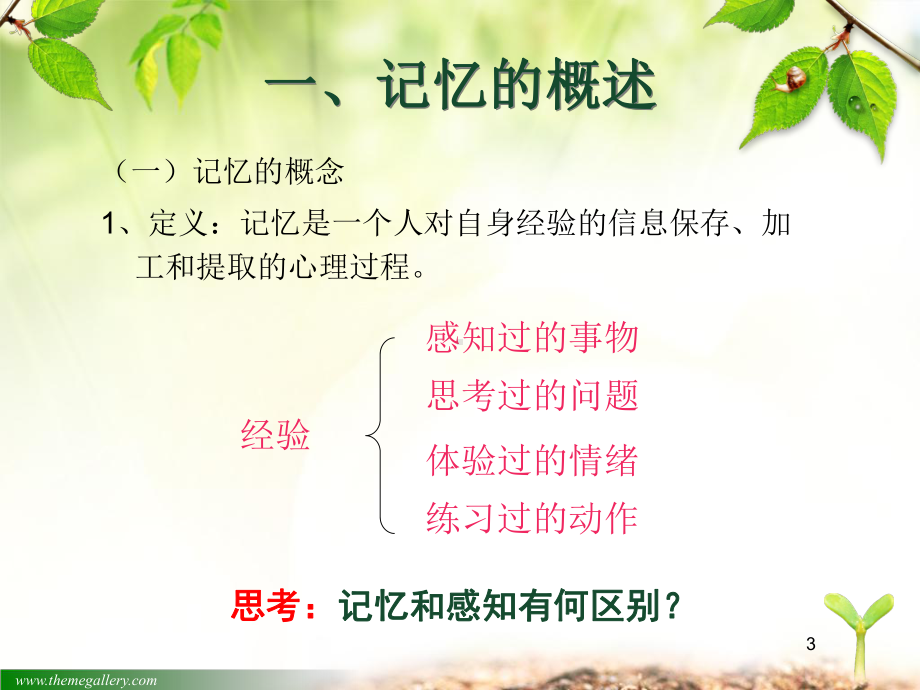 幼儿记忆的发展ppt课件.ppt_第3页