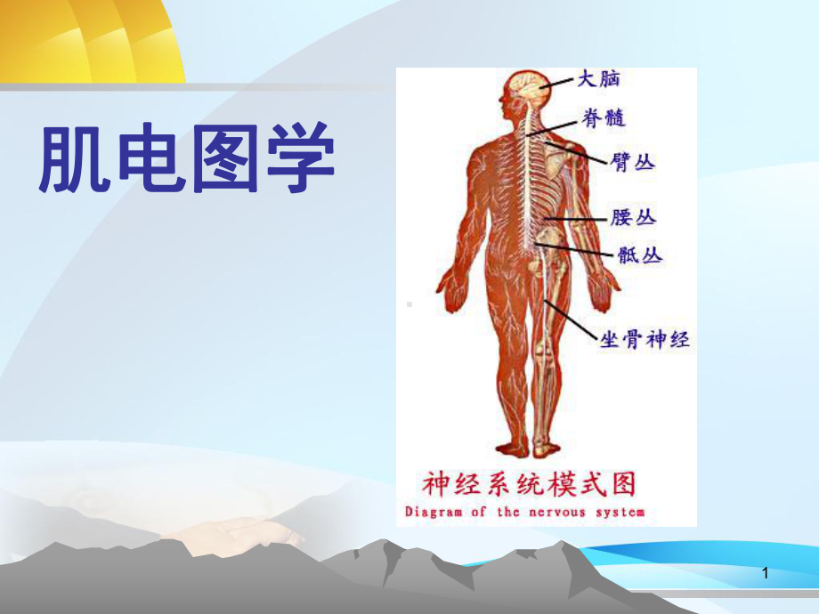 肌电图学PPT课件.ppt_第1页