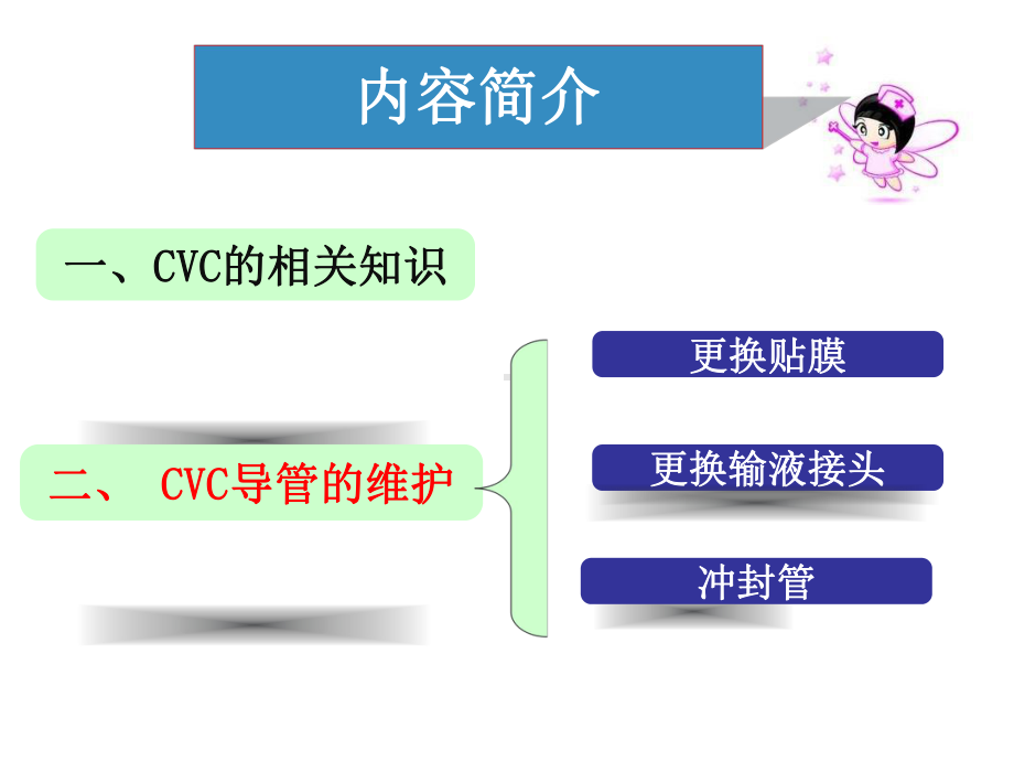 CVC维护规范PPT课件.ppt_第2页