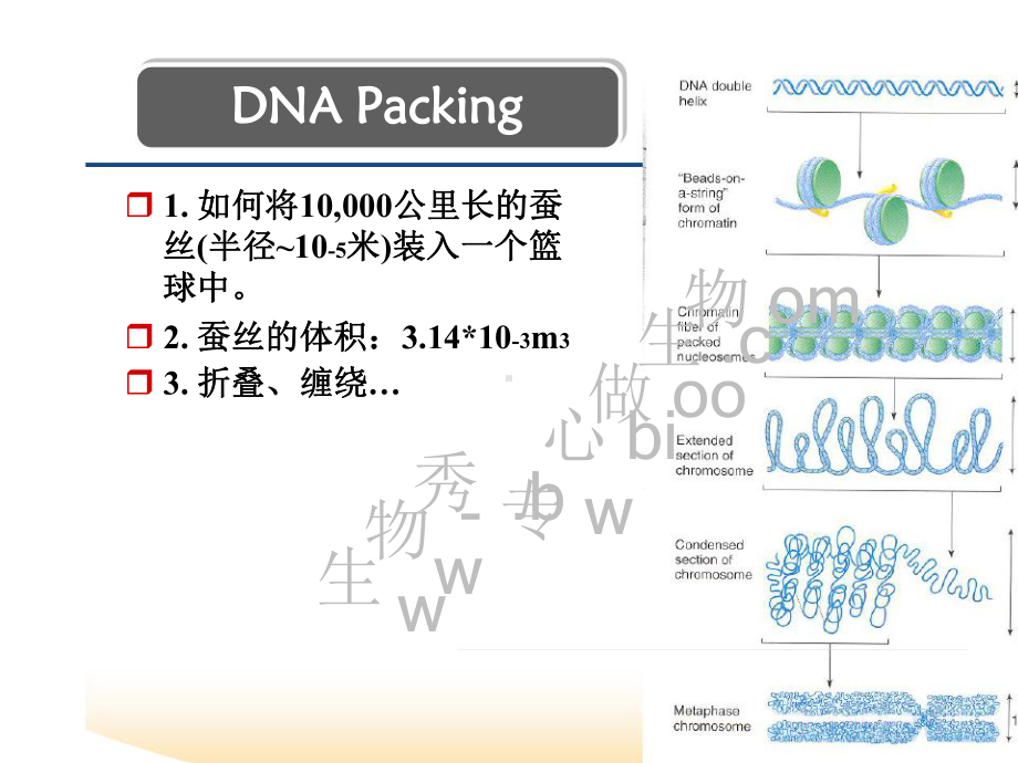 表观遗传学-第三章-组蛋白修饰-ppt课件.ppt_第2页