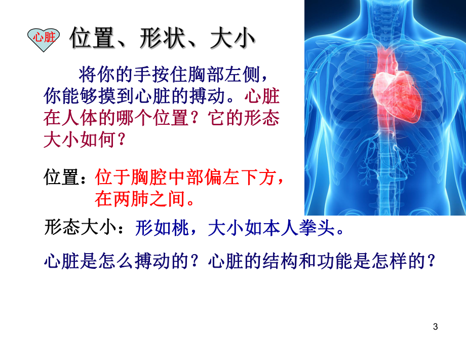 输送血液的泵心脏ppt课件.ppt_第3页