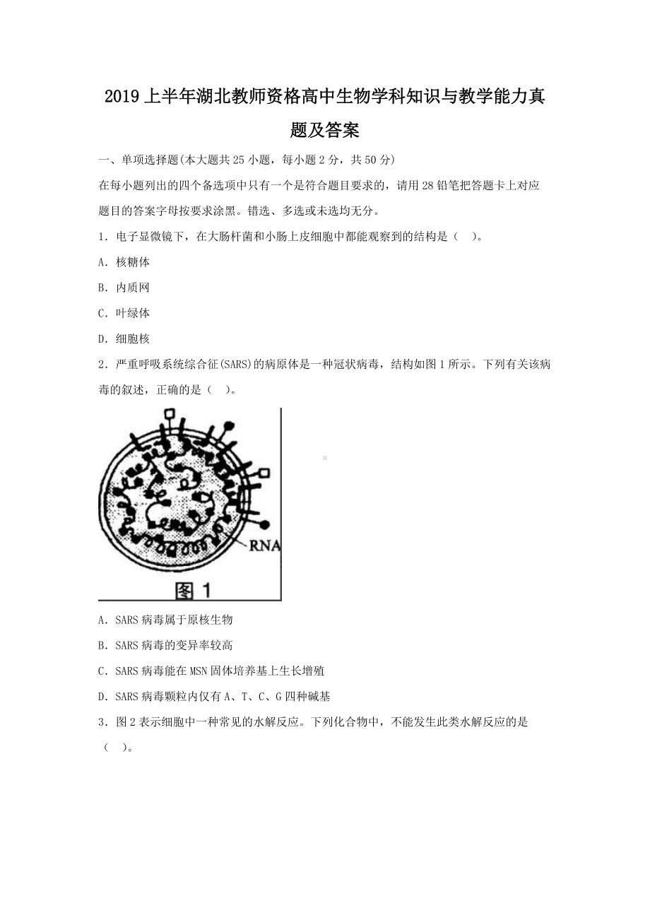 2019上半年湖北教师资格高中生物学科知识与教学能力真题及答案.doc_第1页