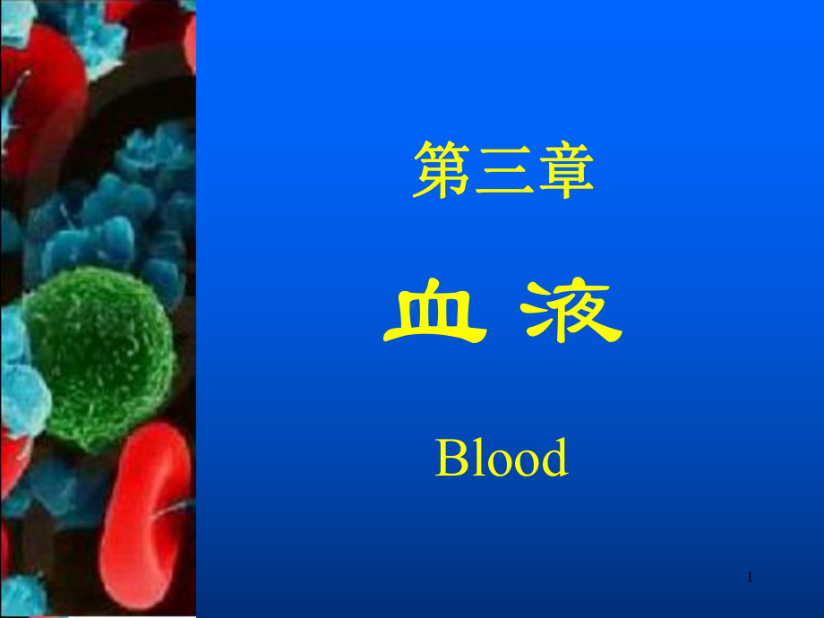 血液PPT课件.ppt_第1页