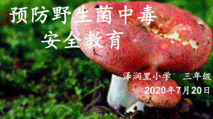 预防野生菌中毒安全教育-ppt课件.pptx