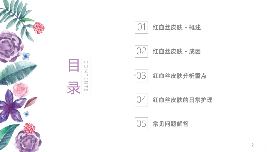 敏感红血丝皮肤专题教学PPT课件.ppt_第2页