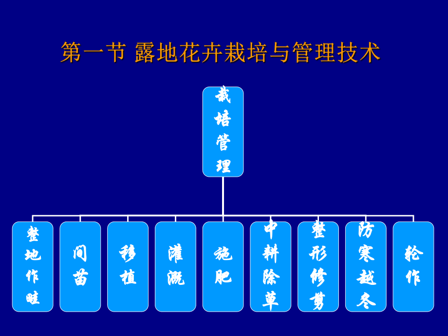 露地花卉栽培PPT课件.ppt_第2页