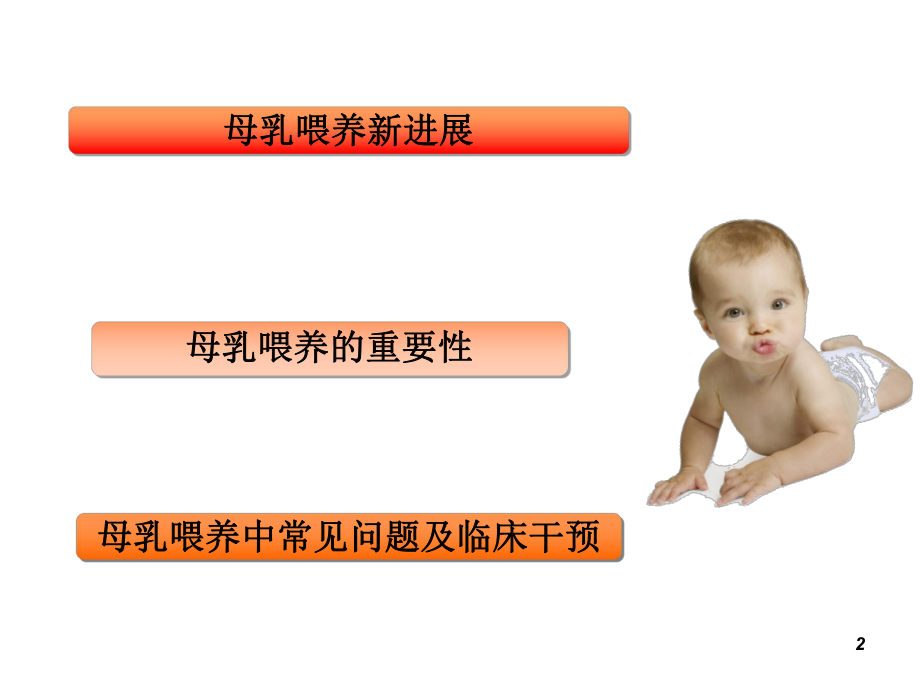 母乳喂养新进展ppt课件.ppt_第2页