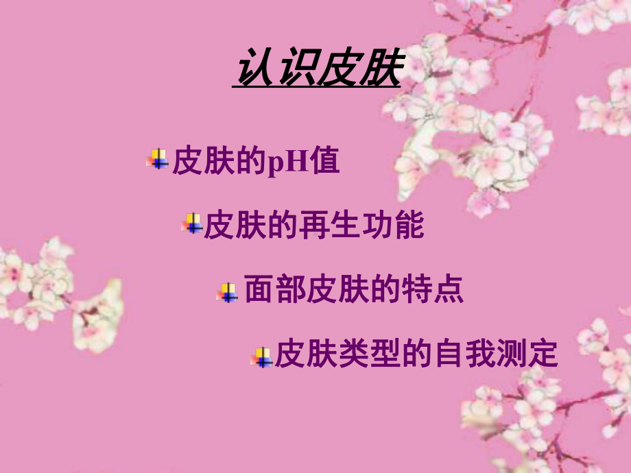 认识皮肤PPT课件.ppt_第2页