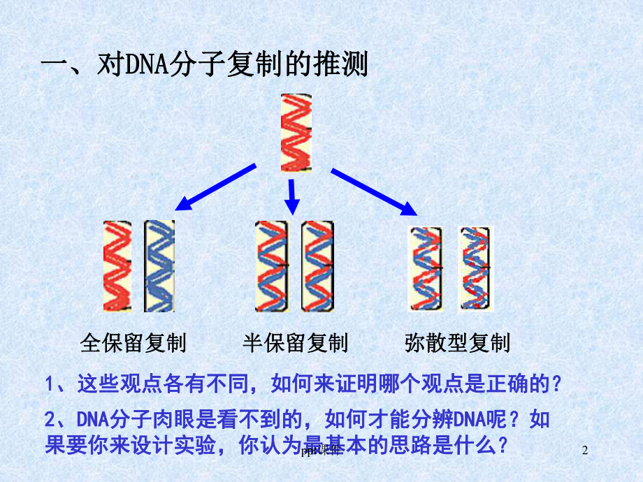 DNA的半保留复制-ppt课件.ppt_第2页