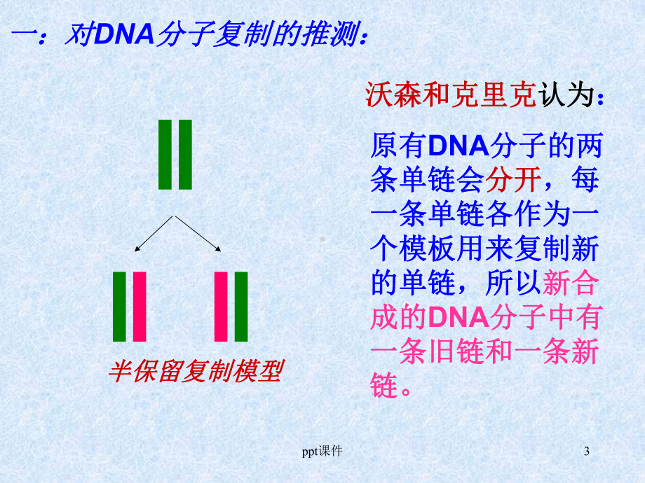 DNA的半保留复制-ppt课件.ppt_第3页