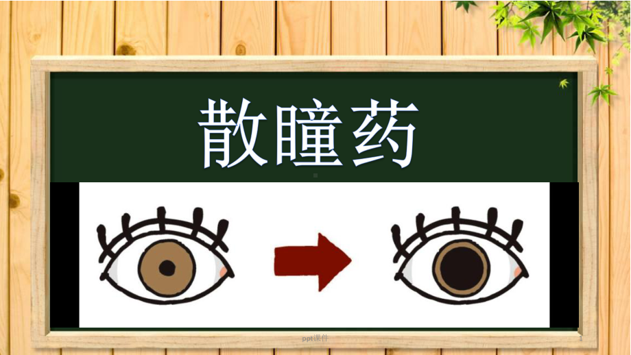 散瞳药介绍-ppt课件.ppt_第1页