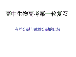 一轮复习减数分裂与有丝分裂的比较ppt课件.ppt