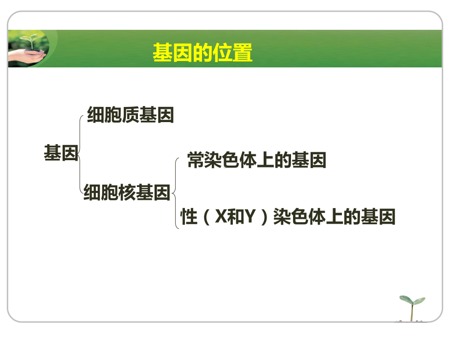 基因位置的判断PPT课件.ppt_第2页