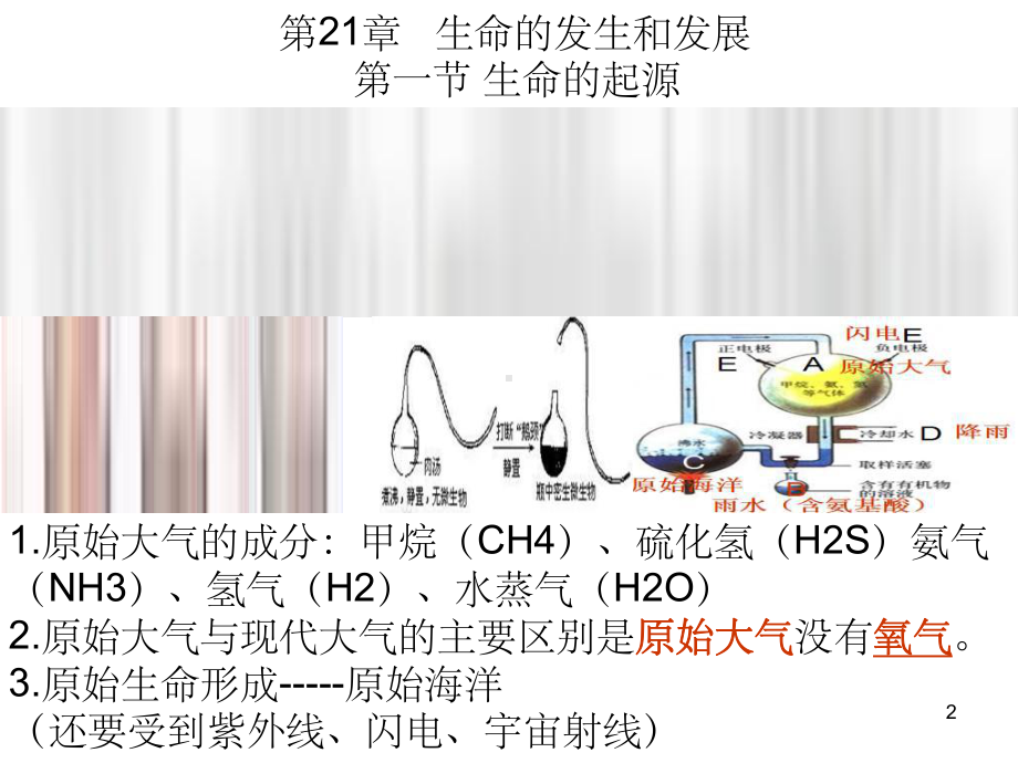 北师大版生物八年级下册总复习ppt课件.ppt_第2页