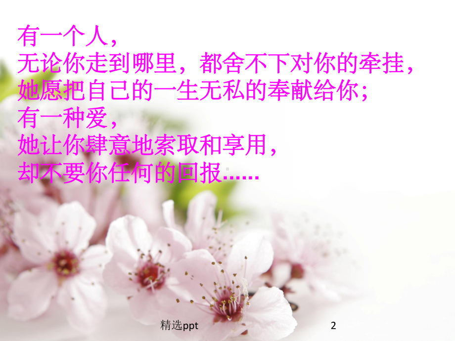 母亲节主题班会完整PPT课件.ppt_第2页