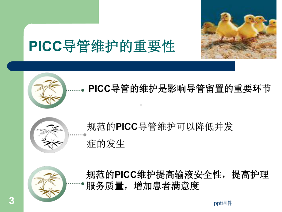 PICC置管维护及健康教育-ppt课件.ppt_第3页