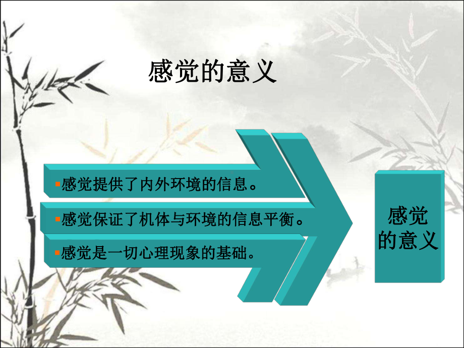 感知与知觉-PPT课件.ppt_第3页