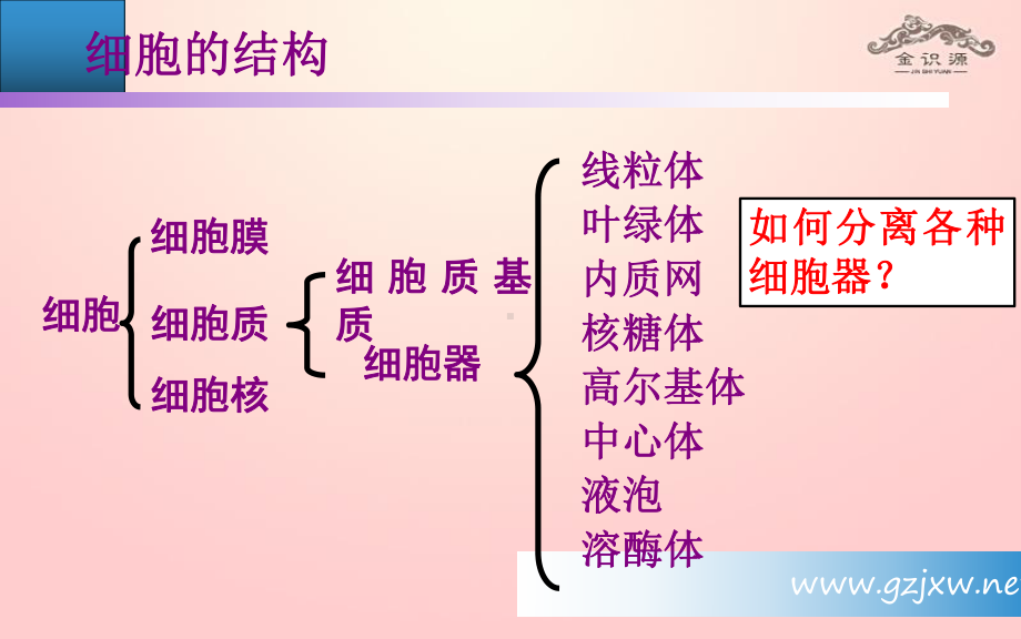 细胞器—系统内的分工合作共张PPT课件.ppt_第2页