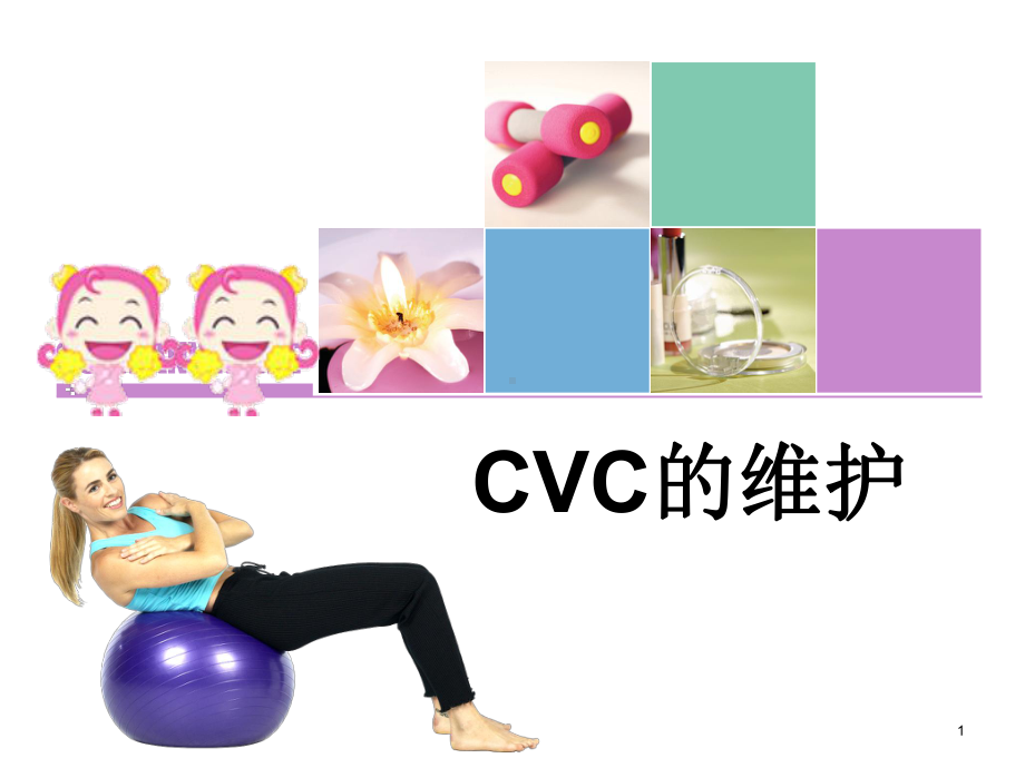 CVC的维护PPT课件.ppt_第1页