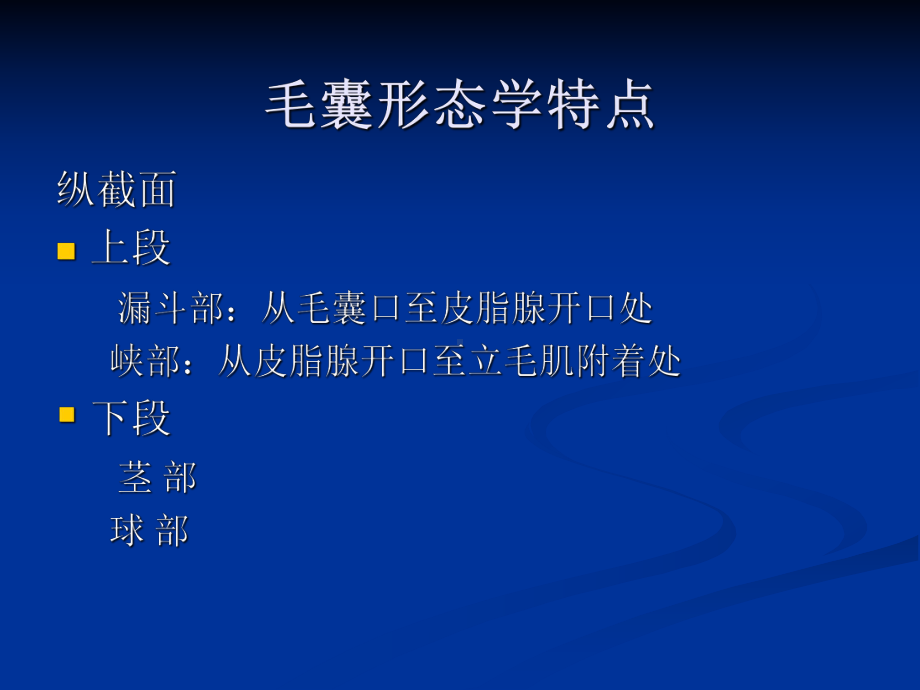 毛发疾病PPT课件.ppt_第3页