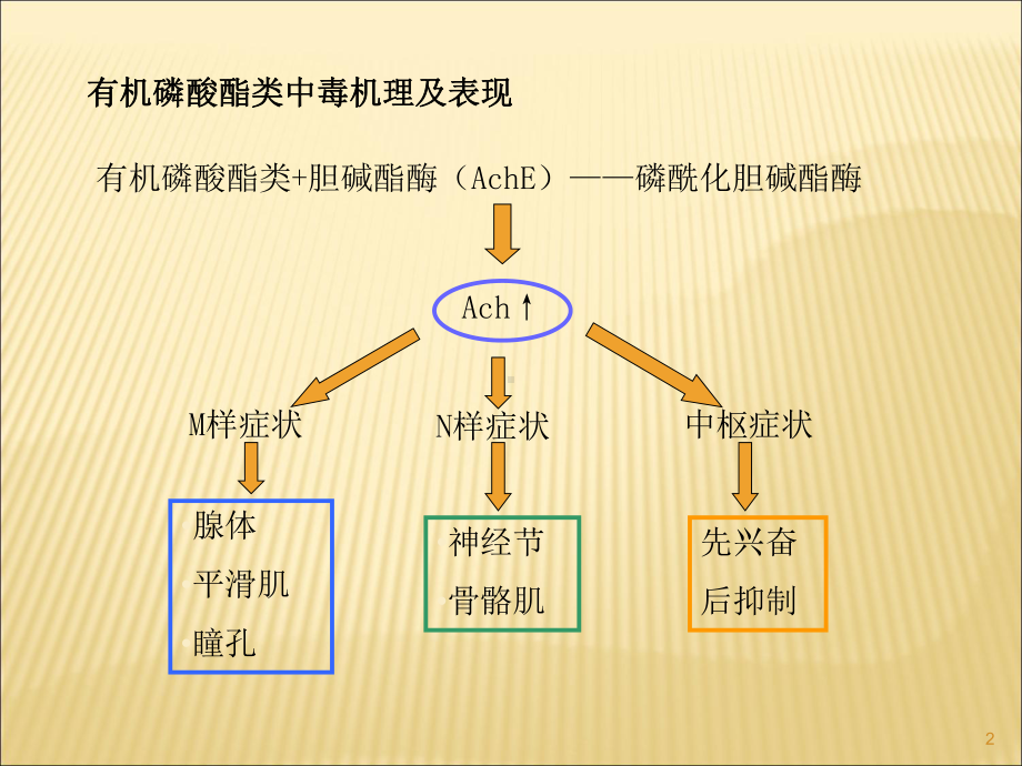 有机磷农药中毒及解救ppt课件.ppt_第2页