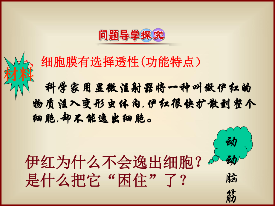 细胞膜和细胞壁PPT课件.ppt_第3页