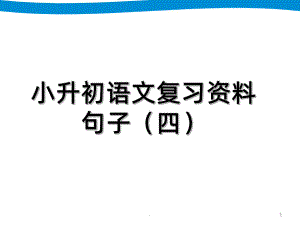 小升初语文专项复习-句子PPT课件.ppt